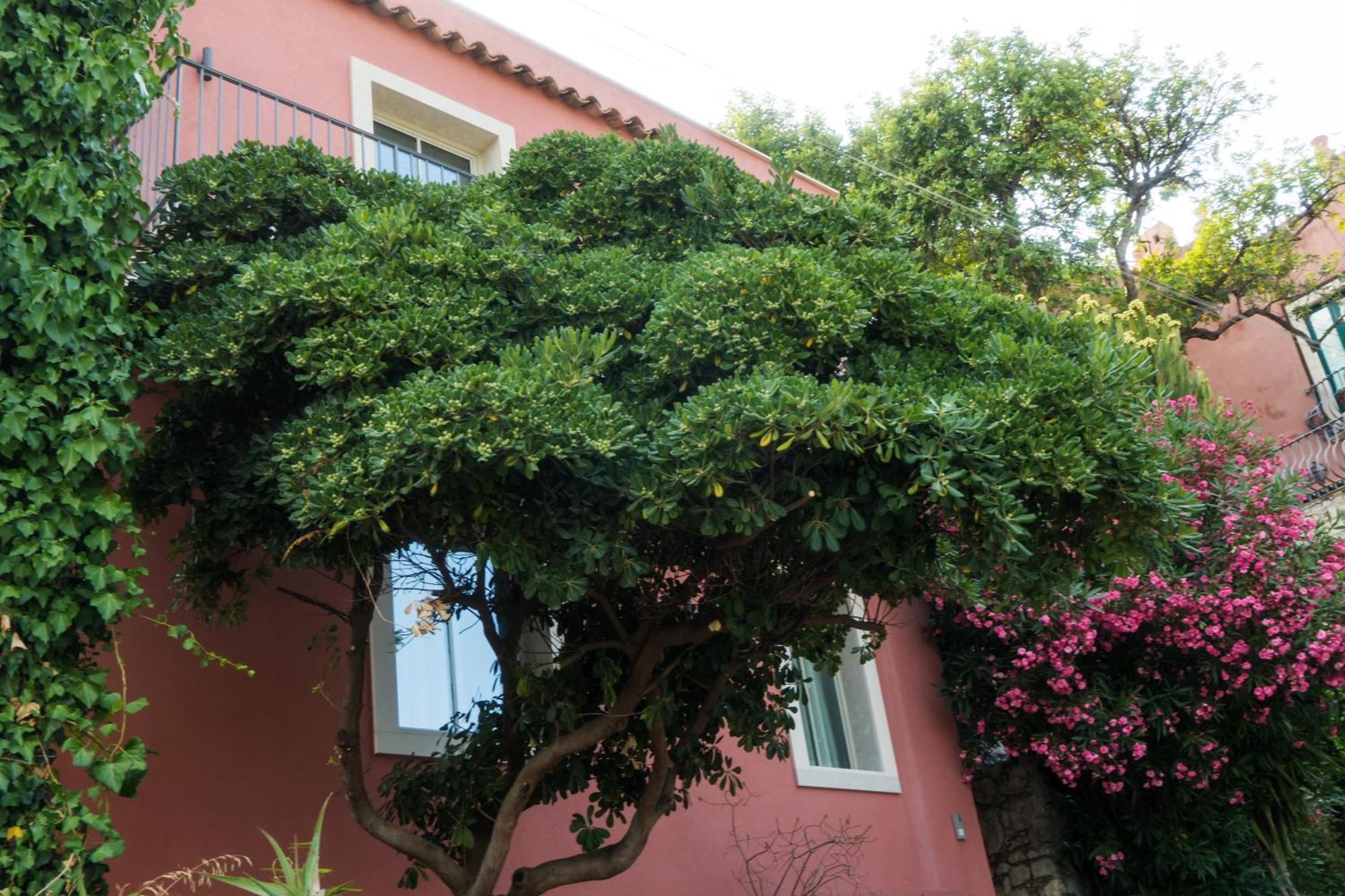 The Charming House Leilighet Taormina Eksteriør bilde